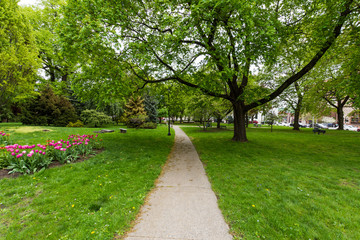 Academy Park Next to Capitol Building in Albany, New York