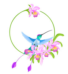 Floral circle frame with Hummingbird isolated on white background.