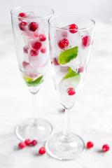 ice cubes with red berries and mint in glasses on white background