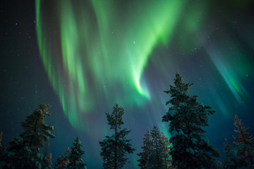 Aurora borealis (aurores boréales) en Laponie, Finlande.