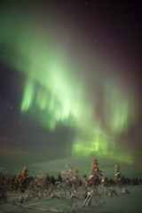 Aurora borealis (northern lights) in Lapland, Finland.