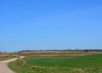 Fototapeta na wymiar Beautiful spring rural landscape: the road leaving into the sky