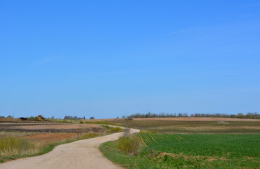 Naklejka premium Beautiful spring rural landscape: the road leaving into the sky