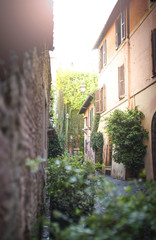 Picturesque street in the historic Trastevere district, Rome, Italy