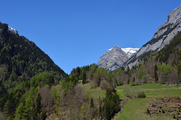 Fototapeta na wymiar Calfeisental mit Gigerwaldspitz, Katon St. Gallen