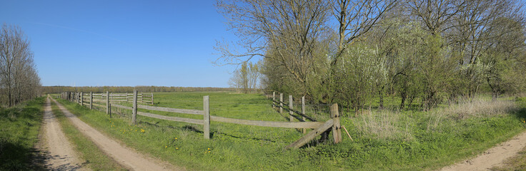 Fototapeta premium Panorama of Wuestung Spiegelsdorf in Mecklenburg-Vorpommern. The village was abandoned long ago in the 1920s