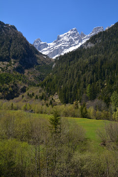 Ringelspitz (3247m)