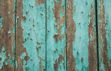 Arrière-plan: bois peint usé de couleure bleu turquoise.