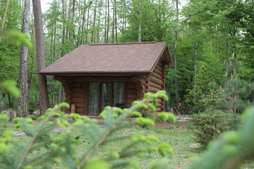 Wooden bungalow row in camping camp park in mountains