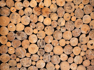 Big wall texture made from log wood