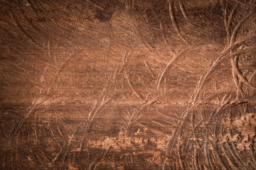 Abstract surface of old wood,texture background