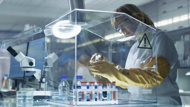 Senior Female Epidemiologist Works with Samples in Isolation Glove Box. She's in a Modern, Busy Laboratory Equipped with State of the Art Technology. Shot on RED EPIC-W 8K Helium Cinema Camera.