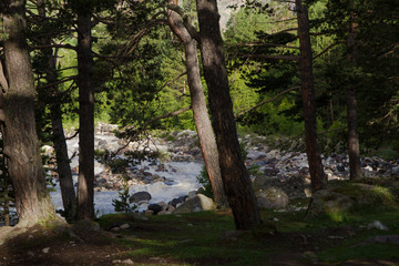 Naklejka premium Mountain river of Elbrus region