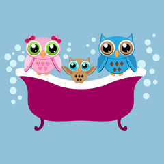 Owl family sitting in the bath