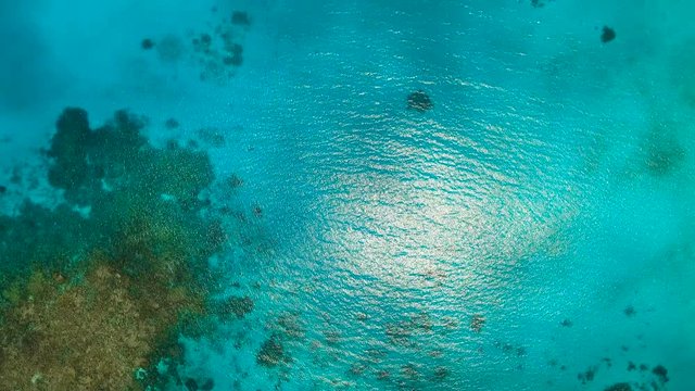 Flying over the blue sea in the azure lagoon. Aerial view: water surface. Tropical sea. Philippines. Flying over the azure surface of the ocean. 4K video. Travel concept. Aerial footage.
