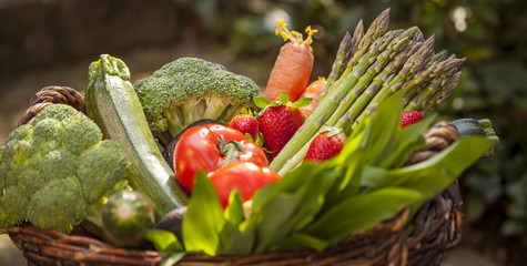 Fresh mixed Vegetables Basked on the Garden Background