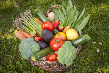Fresh mixed Vegetables Basked on the Garden Background