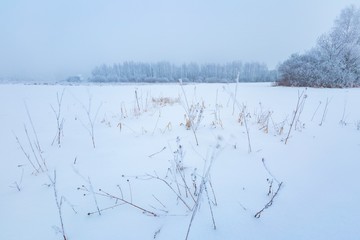 Winter foggy landscape in polish countryside