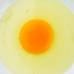 Egg, Egg protein, Egg raw, Eggs on a white plate background, Egg breakfast, Eggs for cooking
