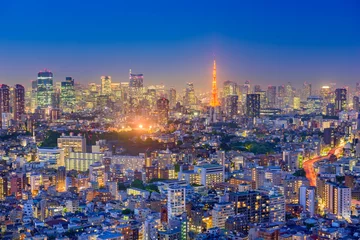 Fotobehang Tokyo, Japan Aerial View © SeanPavonePhoto