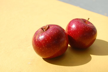 Two Red Apples and a Worm