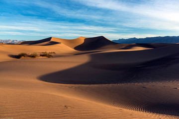 Fototapeta na wymiar Desert Lands