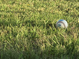 Isolated Baseball In Grass