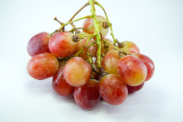 fresh grape