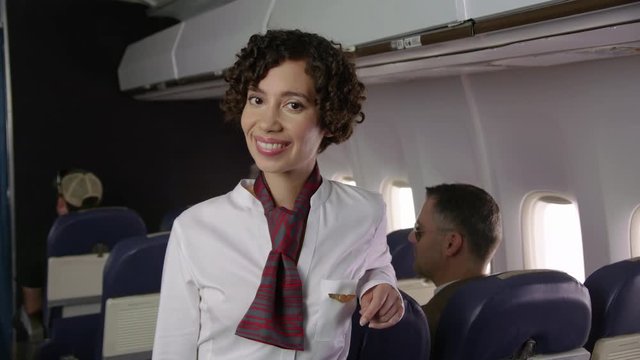 Portrait of airliner flight attendant 