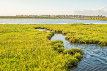Bolsa Chica Wetlands, Huntington Beach in Southern California 