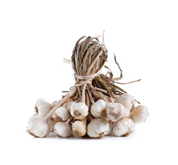 Organic garlic on white background
