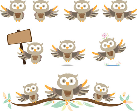 owl cute in isolate background