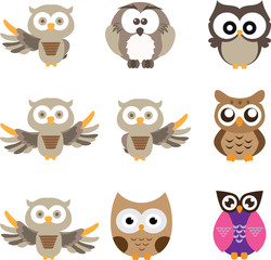 owl cute in isolate background