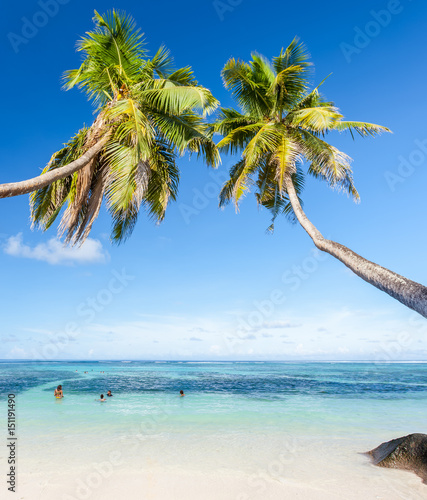 Great Art Affiche De Décoration Murale Des Plages De Rêve De Palm Beach Des Caraïbes Un Paradis Dîle Naturelle De Palmiers Tropicaux Et De Ciel Bleu