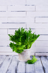 Raw green lettuce