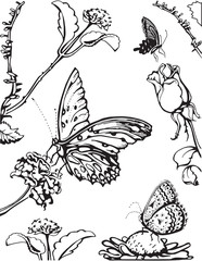 Art design of butterflies perched on flowers. Vector image. Black silhouette.