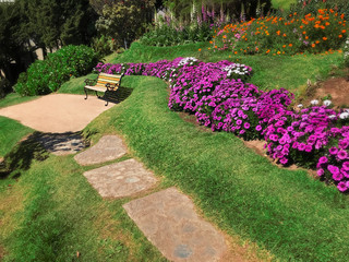 Vintage Bench in the garden