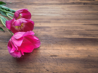 Pink tulips, floral arrangement on wooden background from old boards and a space for messages. Background for Mother's Day, 8 March and other greeting cards for lovely women. Soft focus.