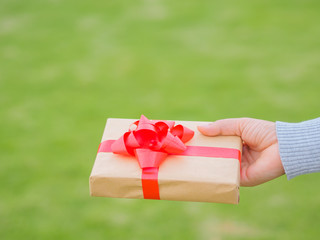 Hands holding beautiful gift box, female giving gift, Christmas holidays and greeting season concept, shallow dof