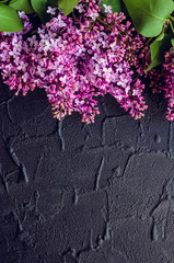 Obraz premium Beautiful lilac on dark stone background
