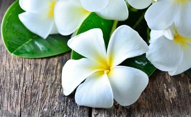Foto op Plexiglas Frangipani witte plumeria frangipani op houten achtergrond