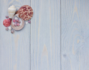 Sea corner border with seashells on shabby wooden planks.