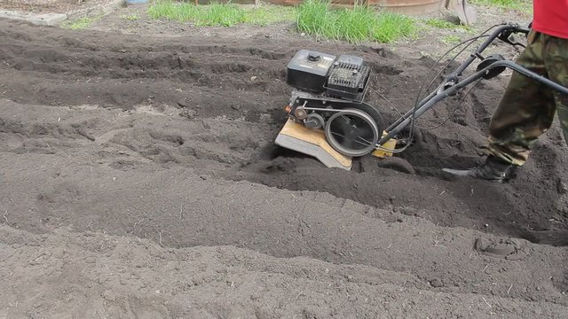 The farmer cultivates the land with a cultivator. agriculture. mini tractor. In Russia