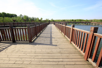 Wooden bridge on the river