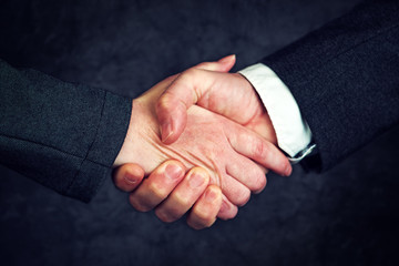 Joint enterprise handshake over business agreement - obrazy, fototapety, plakaty