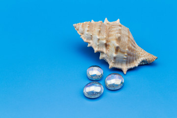 Conceptual Creative Shots