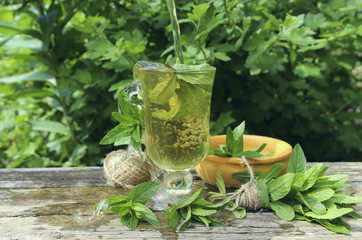 Mint tea. Herbal tea and mint