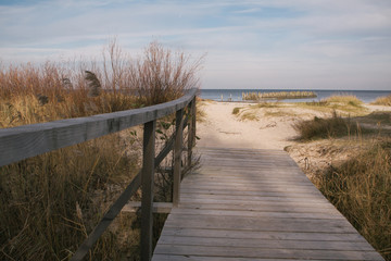 Naklejka premium Wooden footbridge in the dunes leading to the beach
