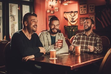 Cheerful old friends having fun and drinking draft beer in pub.