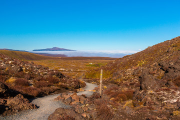 Alpin Crossing im Tongariro National Park in Neuseeland (New Zealand)